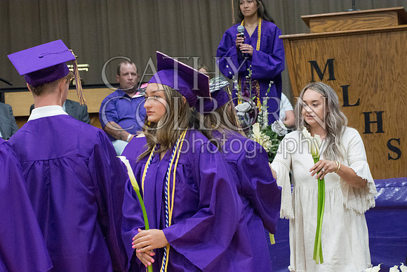_DSC1786
