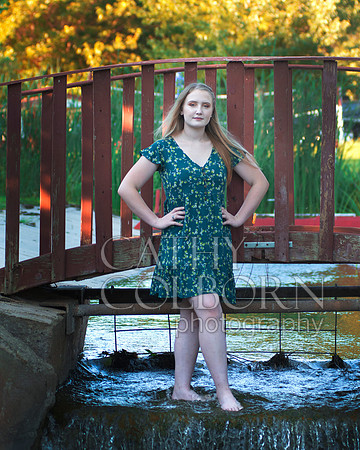 DSC_0817a