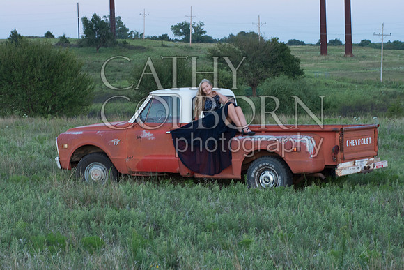 DSC_2516