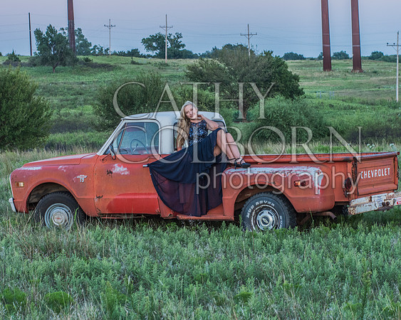 DSC_2519