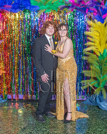 _DSC1517